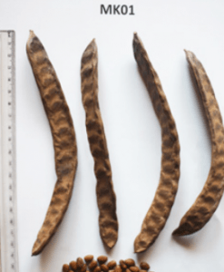 MELLALIA Variety