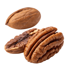 Pacanier